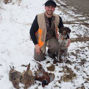 Meet your Posher, Alex